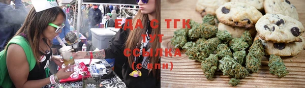 метадон Гусь-Хрустальный