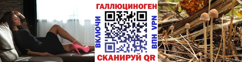 Купить  Углегорск  Псилоцибиновые грибы Cubensis 