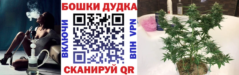 Купить  Углегорск  Канабис ГИДРОПОН 